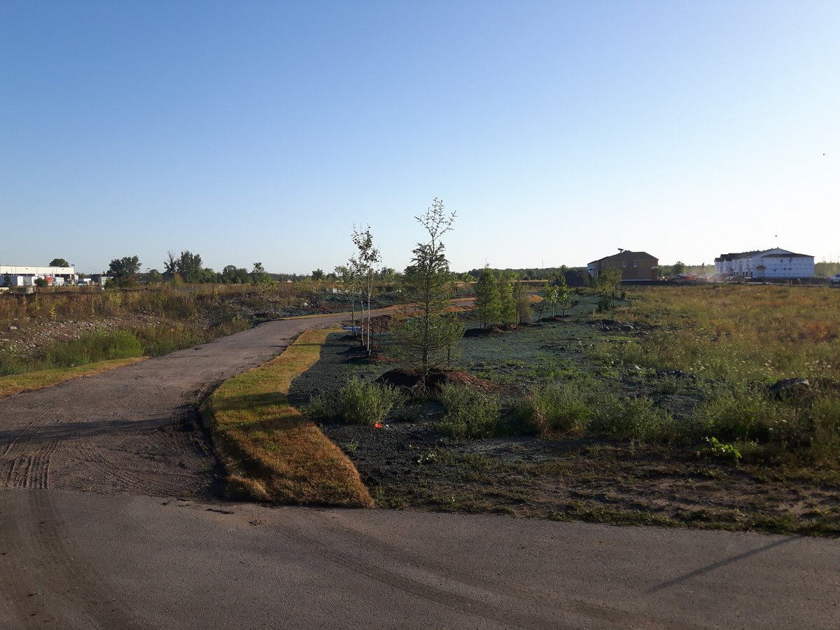 Check out these cool shots from an early start <a href="/ecoturfottawa/">Eco-Turf Ottawa</a> 

#millerscrossing
#badassgrass 
#trustedpros