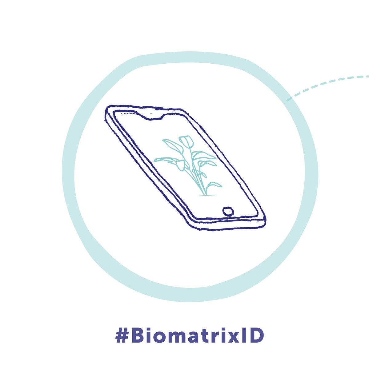 BiomatrixWater's tweet photo. Weโve been chatting for a wee while now about how best we can use these here social media networks. If we work with the the mycelial metadata that is the omnipotent hashtag. We can maybe start an open source species identification tool.
โ๏ธ๐! #BiomatrixID https://t.co/inra7T8sJu