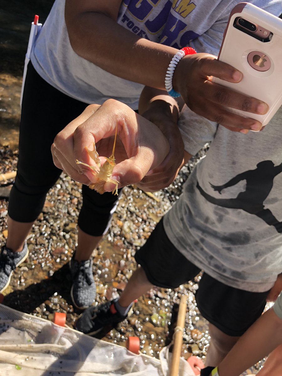 ImMrsSmith's tweet image. Station 2 @BGISDgaryfields @lightningr @BGISD @BGJHS