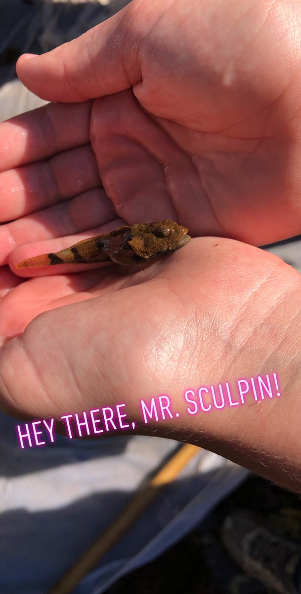 ImMrsSmith's tweet image. Station 2 @BGISDgaryfields @lightningr @BGISD @BGJHS