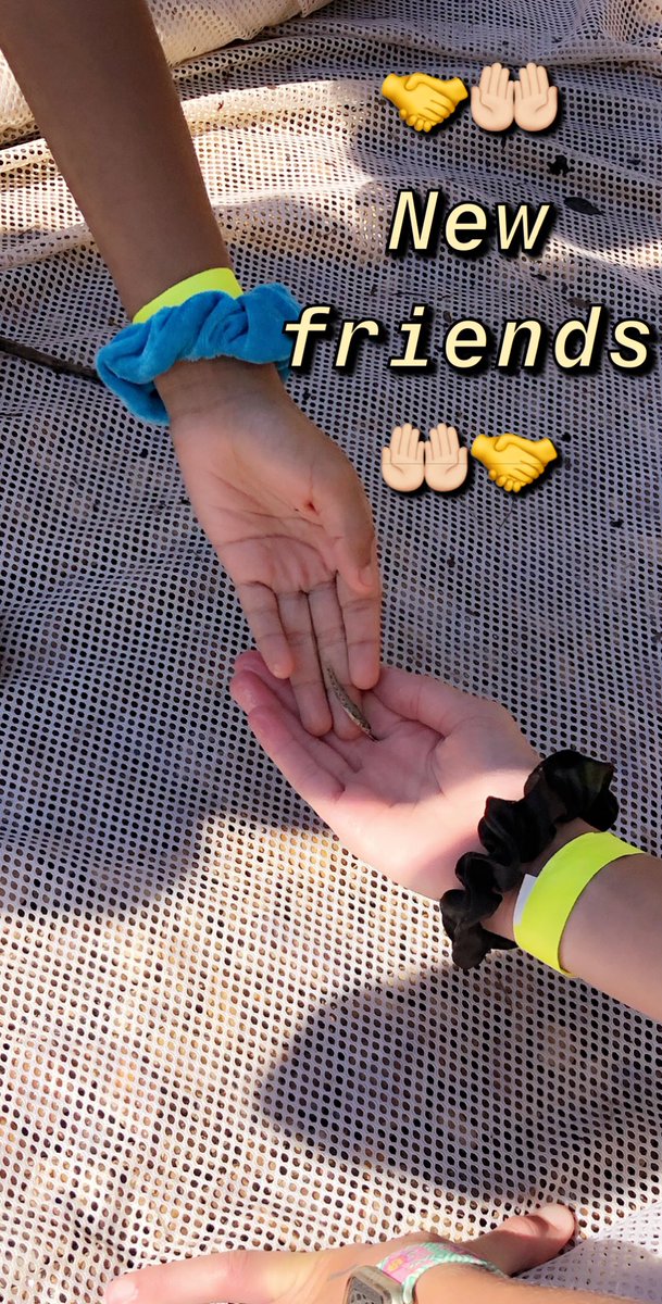 ImMrsSmith's tweet image. Station 2 @BGISDgaryfields @lightningr @BGISD @BGJHS