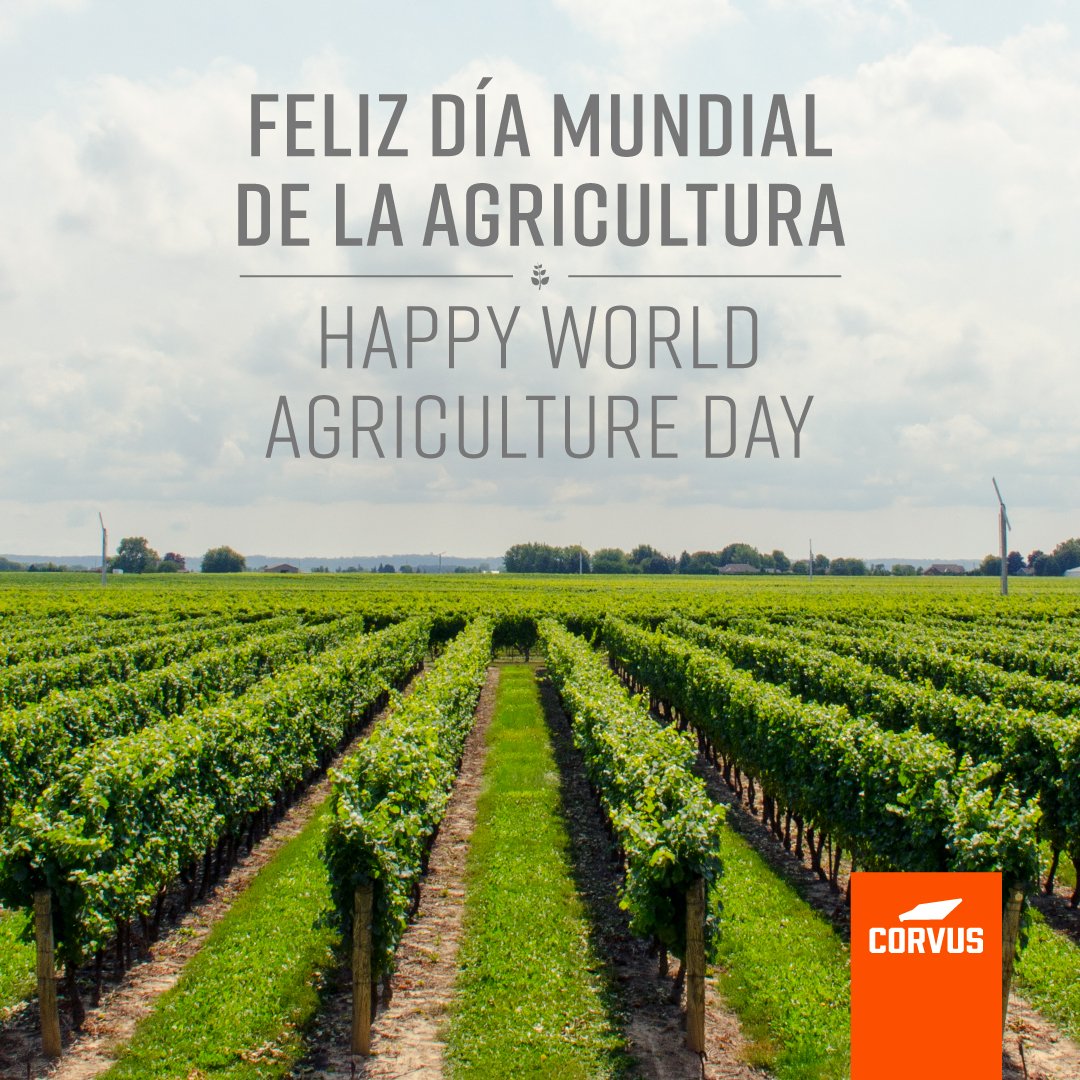 Corvus-utv tweet media