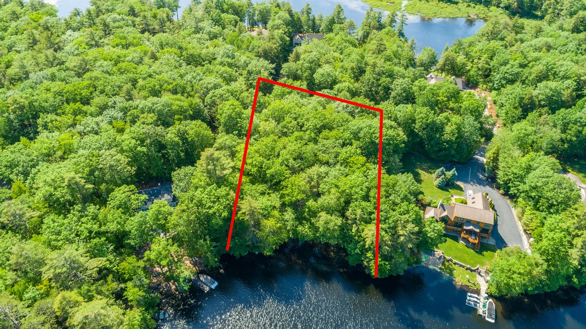 Brie Stephens- Lake Life Realty tweet media