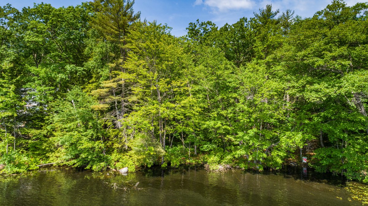 Brie Stephens- Lake Life Realty tweet media