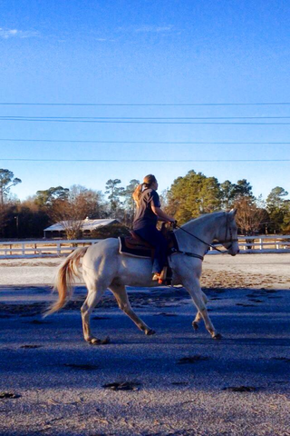 Afton Hartzog is a CAES advisor from Springfield, Georgia. She attended ABAC, and later transferred to UGA to study Animal Science with a focus on Equine Science Management.  Afton has a certified therapy dog named Lizzie. We are glad to have Afton as member of our advisor team!