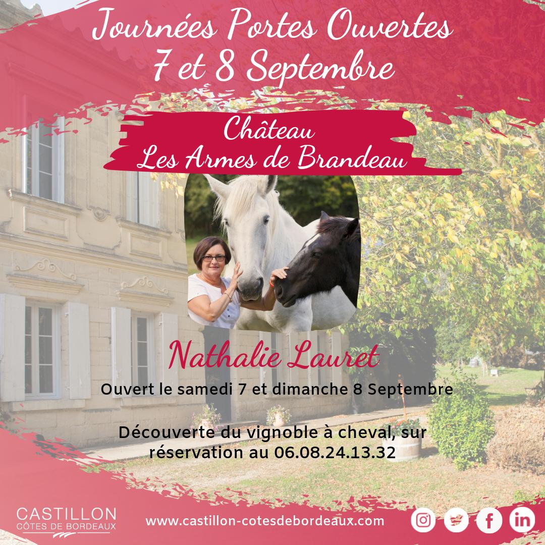 Vins de Castillon tweet media