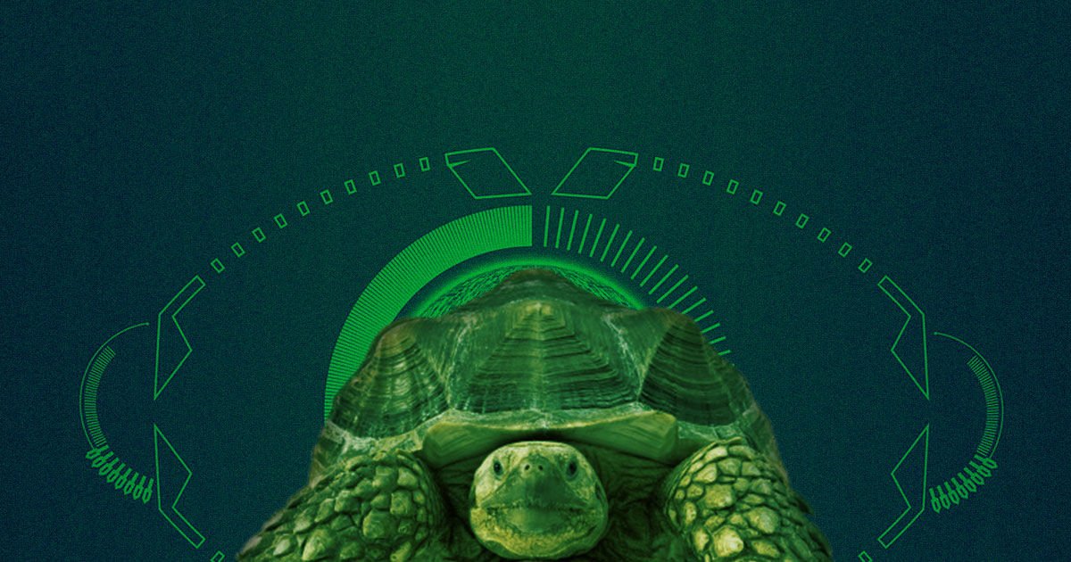 rnalytics's tweet image. How to build a simple Flask RESTful API with Docker-Compose 

 (medium.com/@daniel.carlie… 

   So you want to learn how to cre..

  #flaskprojects #attention #readhow #datascience #AI