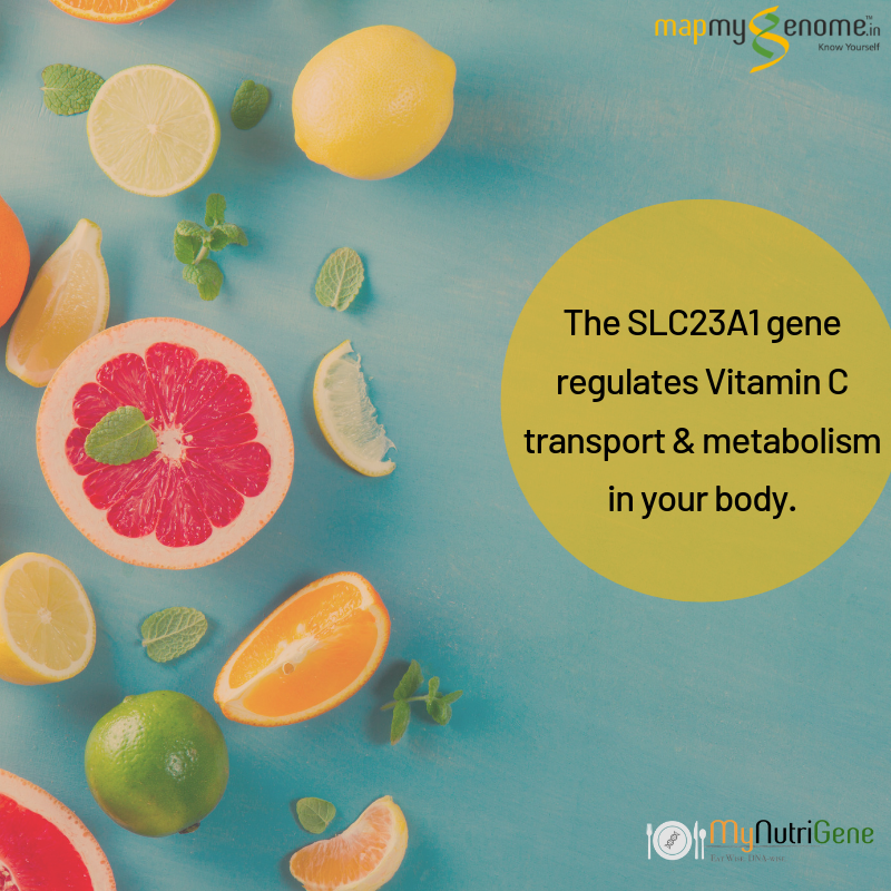mapmygenome's tweet photo. Having a certain SLC23A1 gene variant may mean you need a higher intake of vitamin C - rich foods like strawberries, lemon, lime and oranges. 

Get MyNutriGene to Know Yourself  : https://t.co/53xxEyqXx5 

#Mynutrigene #VitaminC #NutritionWeek #NationalNutrition #Nutrition #Diet https://t.co/lPMCQnq1G9