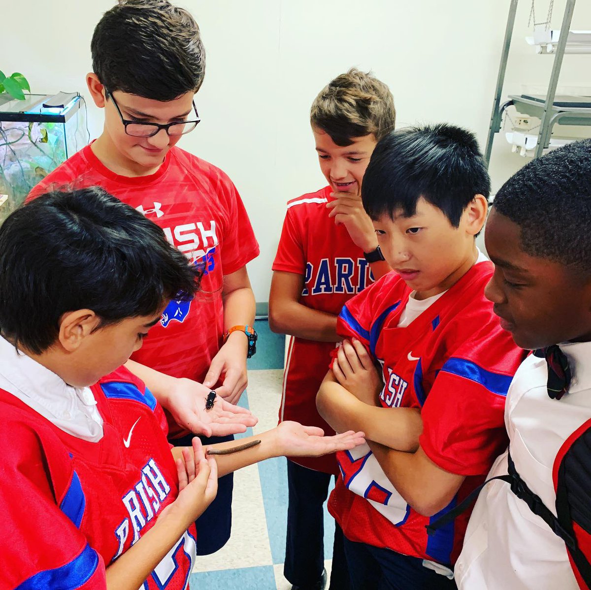 Mr. Rock tweet media