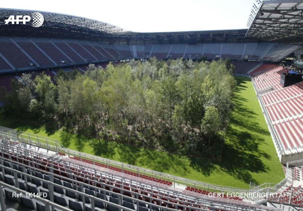 afpfr's tweet photo. Le bruit du vent dans les feuilles a remplacé le sifflet de l'arbitre dans le stade de football de Klagenfurt, en Autriche, qui a dévoilé hier un terrain planté d'une mini-forêt : cette vision surprenante est en fait une oeuvre d'art végétale et temporaire #AFP https://t.co/LXu02nT8A5