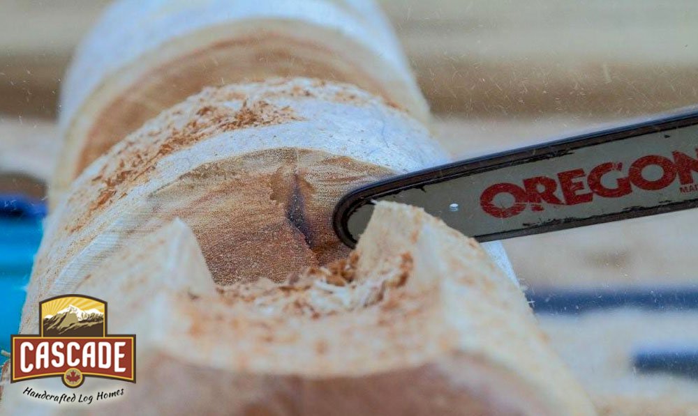 BCLogHomes's tweet photo. It's #ThrowbackThursday - Here's a great shot from almost 10 years ago of a log being notched out using an awesome Oregon Products chainsaw guide bar. 
 Still using the same brand guide bars from Oregon products today! 
 #loghomebuilders #logsmiths #tools #chainsaws #equipment https://t.co/uEDqaCnDlc