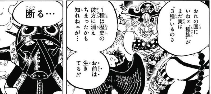 ワンピース 歴史の彼方に消えた種族とは 絶滅種族について総まとめ 漫画情報 Info