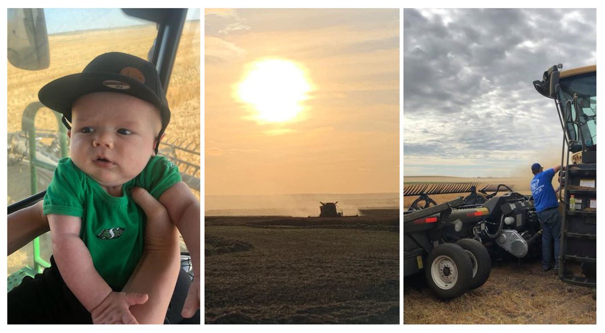 SWT's tweet photo. Congratulations to this week’s winners! 🎉 Thank you for being a part of the challenge and sharing #YouFarm with us!

• Doug Logan
• Lexi Newman Cadieux
• Cindy Troendle Christensen

Stay tuned for next weeks #SWT harvest giveaways! https://t.co/GGqA4IwHd5