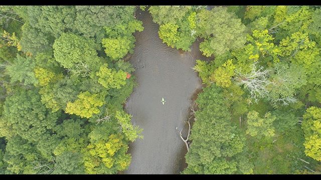 thinkbluhouse's tweet photo. Just Pinned to Blu House Happenings: Tiny Kayaking Lance Tiffany is tiny. Tap or click the photo and help him find his way home - he has a spectacular listing on the Rogue River in Belmont just north of Grand Rapids coming this weekend!  #aerialfilming #… https://t.co/YIBe91f2L5 https://t.co/dPZ8KayPhT