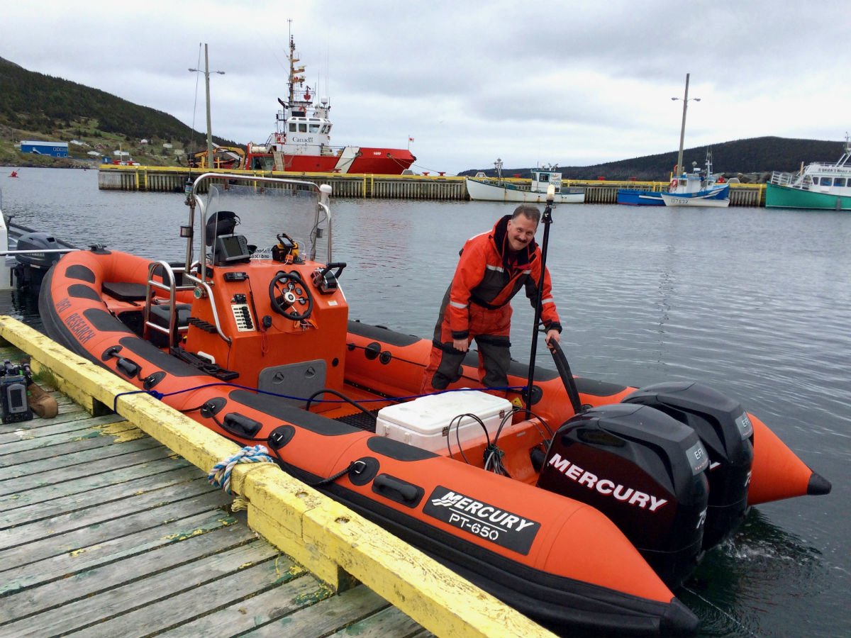 DFO_NL's tweet photo. Whale watching #DFONL style! @drjwlawson &amp; colleagues are tracking fin &amp; humpback #whales they satellite tagged in early August. The whales fed for a few weeks in eastern Newfoundland. Some have moved offshore &amp; a humpback seems to be heading towards the Arctic. https://t.co/fFPtsSy6RV
