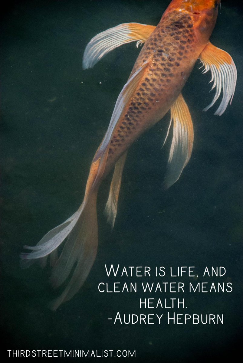 thirdstreetmini's tweet photo. Clean water is LIFE
#cleanwater #ClimateChange #sustainable #ecofriendly #fairtrade #savetheocean #GlobalWarming #microplastics #fish https://t.co/7BsEpVUg34