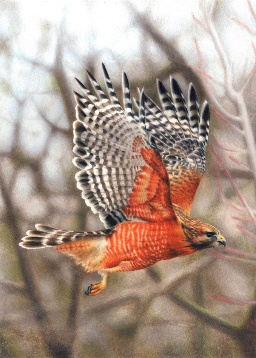 KufflerSarah's tweet photo. sooooo many hours of work put into this piece
sooooo worth it 

-color pencils on paper https://t.co/nvdLs0LQCH