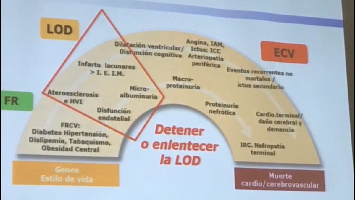 ana_apiecar's tweet photo. 📍Con los #medios de #AP podemos #buscar y #frenar #LOD🔎🔎🔎🛑
✅#proactivo🔛
✅#económico💰
✅#costeEfectivo💵
🛑#continuumCV✋🏻
🛎#APclave
#loveMFyC #SEMERGEN19 @SEMERGEN_CV https://t.co/1OiSvrCQ6e