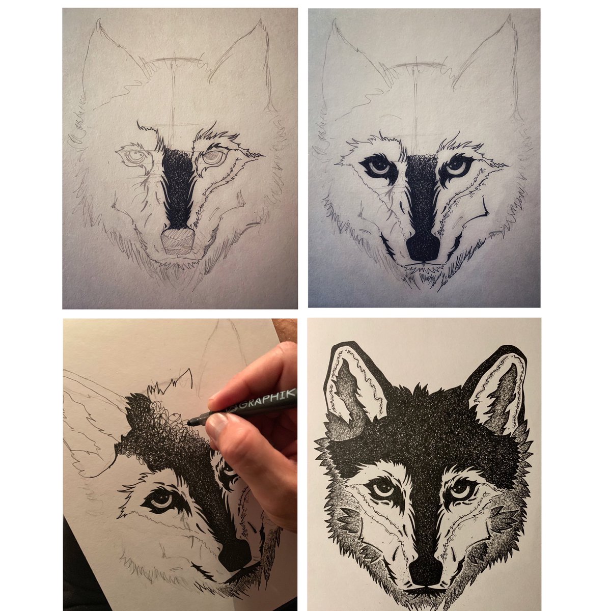 JPercivalPrints's tweet photo. My Wolf 🐺From start... To finish... Absolutely loved drawing this.
•
#handdrawing #handdrawings #startingtodraw #inkart #inkartist #followmydrawings #wolfdrawing #wolfdrawings #drawingwolf #iwanttodraw #coolwolf #wolfpack🐺
#inkillustration #inkillustration #killerink https://t.co/Z5a67B5uwf
