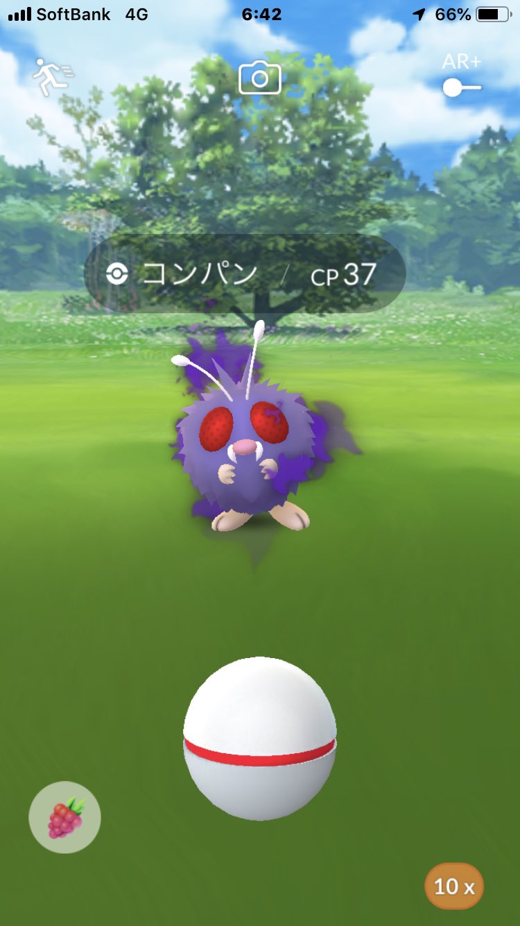 あ ポケgo黄tl50 おっ ポケモンgo コンパン シャドウポケモン あと0 T Co 1zvzwyijoi Twitter