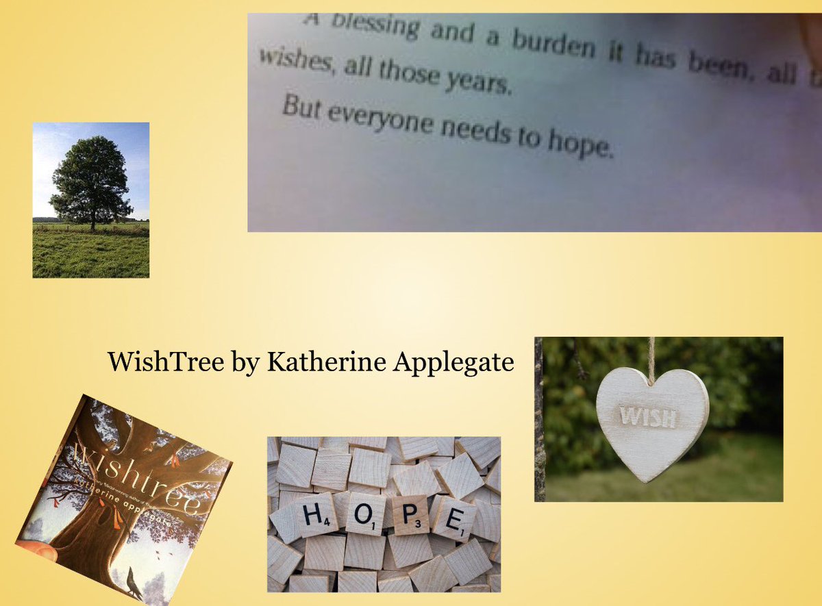 hight.highlights tweet media