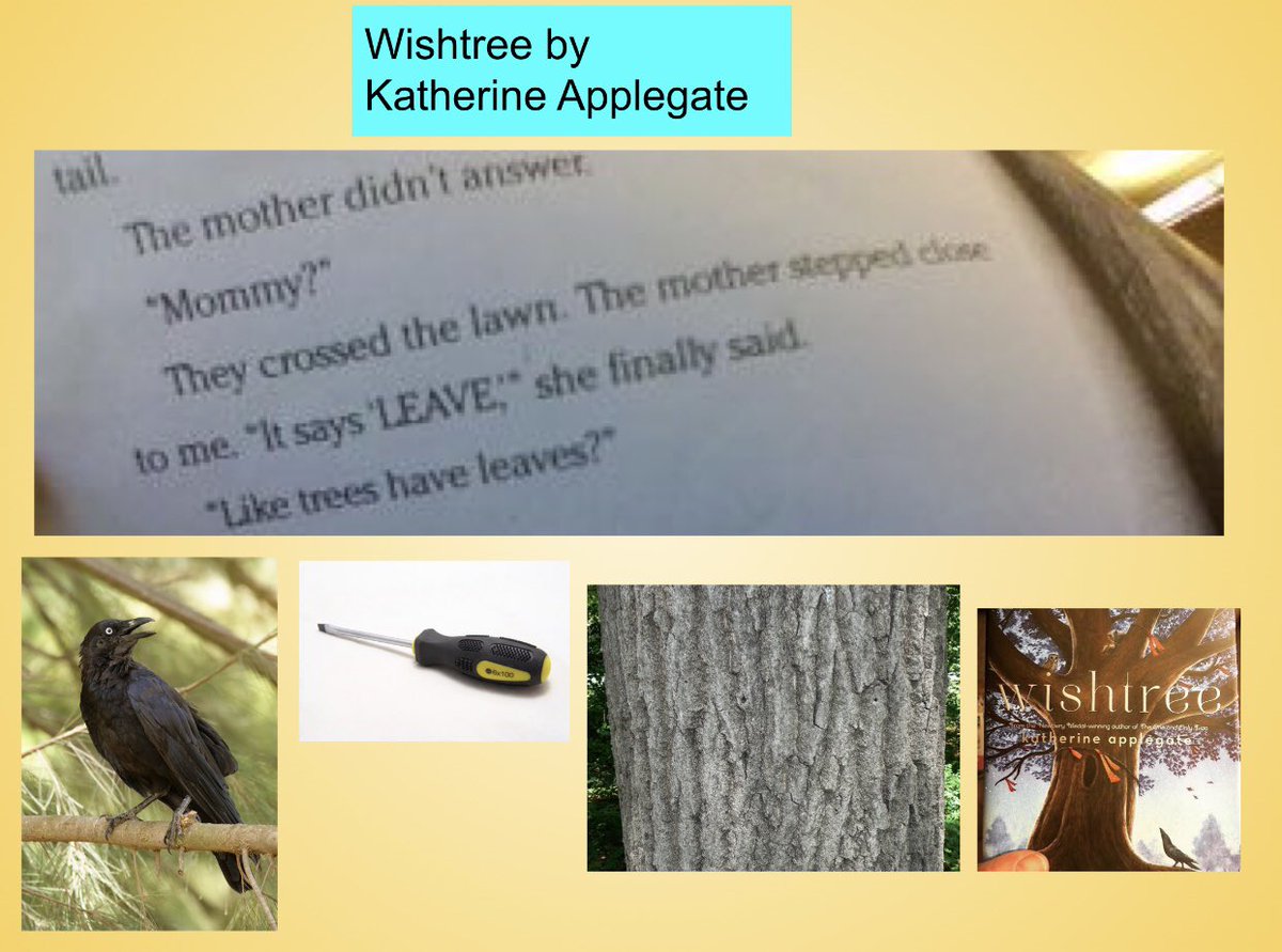 hight.highlights tweet media