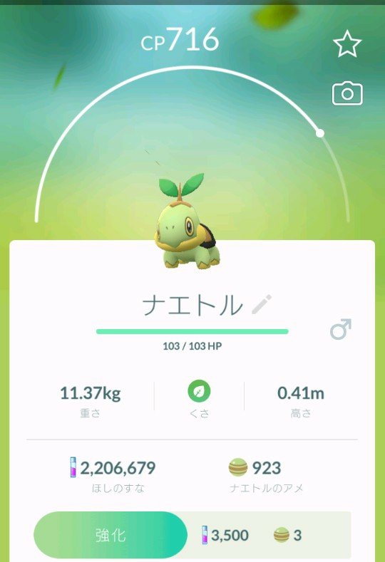 Chiepapa V Twitter ニアバイに黒い影 どうみてもナエトルなんどけど 急いで駆けつけたら やはりナエトル おいおい 汗をかかすなよ 笑 ポケモンgo ナエトル