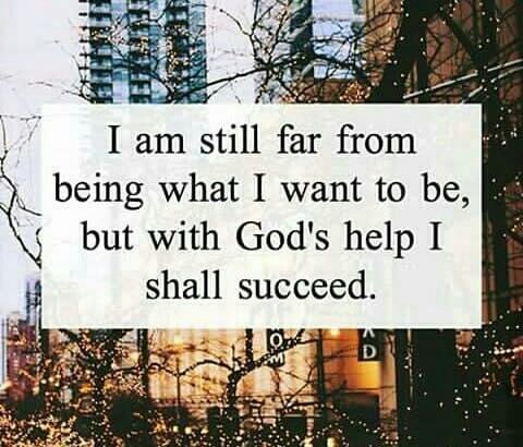 salomkapurity's tweet image. 