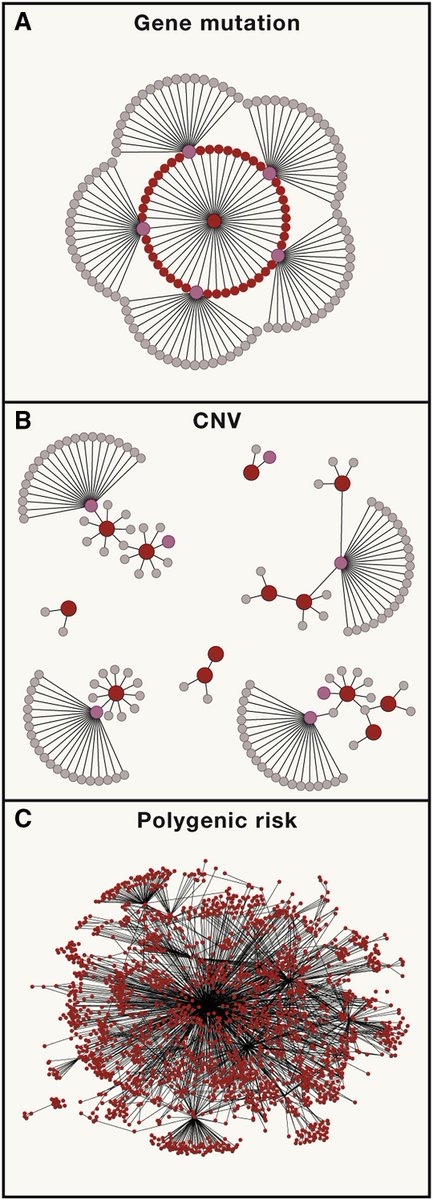 mmw_lmw's tweet image. #Autism | #GeneticArchitecture of Autism Spectrum Disorder #ASD | Forms of Gene Action in ASD | Jonathan Sebat @UCSD @CellCellPress buff.ly/2Lniqtt