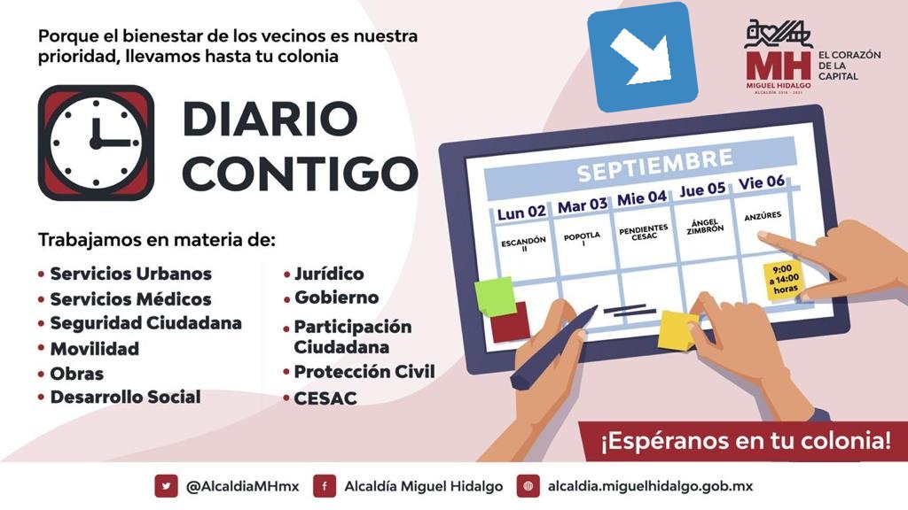 Alex Curiel 🌳🐾😷 🌬 💙 🙏 🇲🇽 tweet media