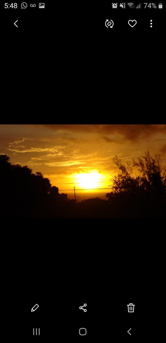 burnep's tweet image. 