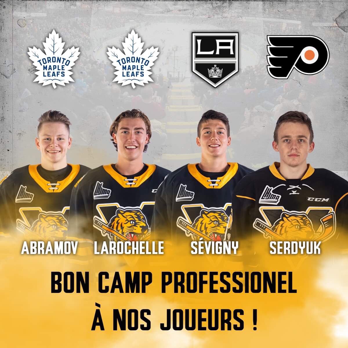 Quatre joueurs des Tigres prendront part à un premier camp des recrues dans la <a href="/nhl/">NHL</a> durant les prochains jours ! ✊🏼

#GoTigresGo