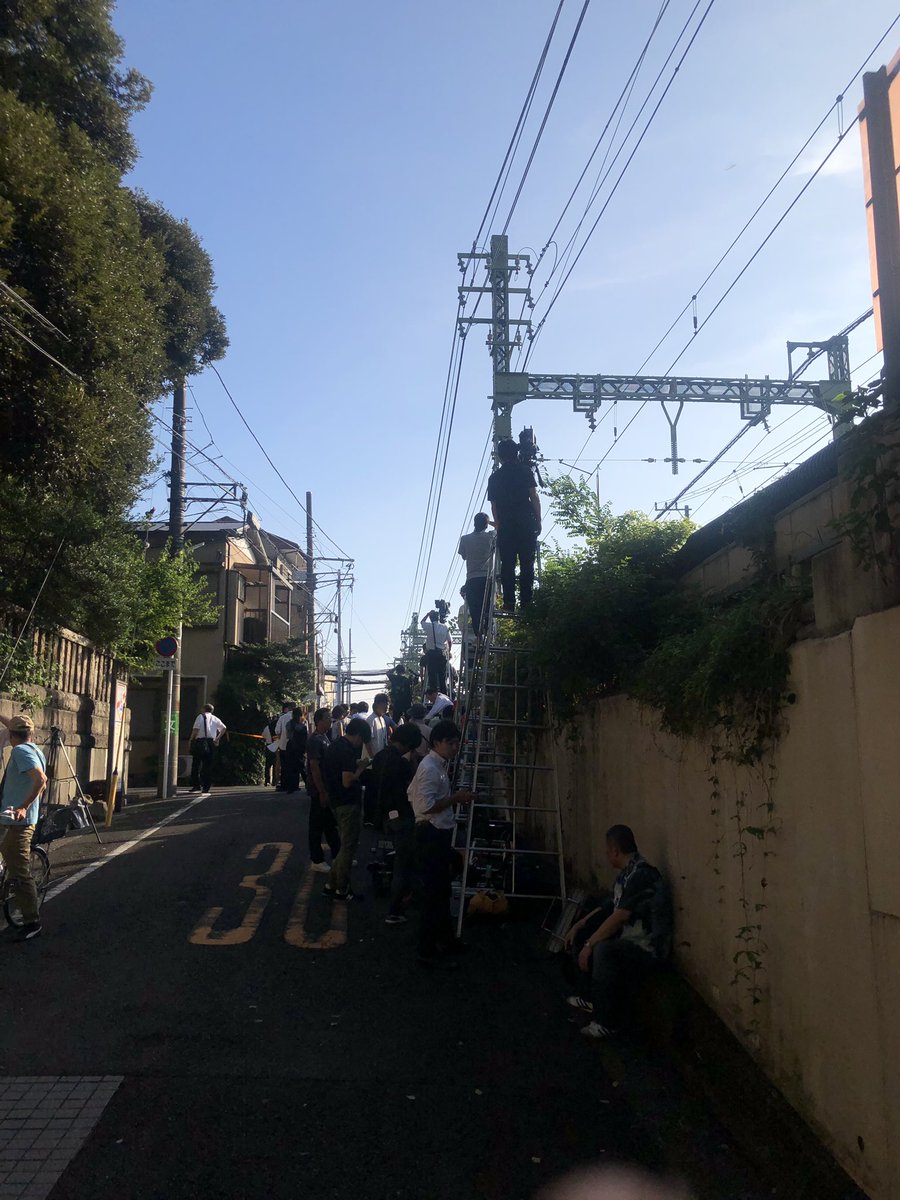 miti hydrangea tweet media