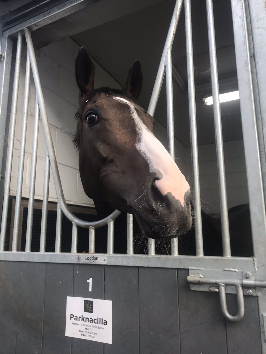 henrycspiller's tweet photo. 🔥Winner🔥
PARKNACILLA finally gets her day &amp; wins @ChelmsfordCRC under @PoppBridgwater &amp; for very important owners, my parents! 👏🏻👏🏻👏🏻 https://t.co/ZVSqBkhQcJ