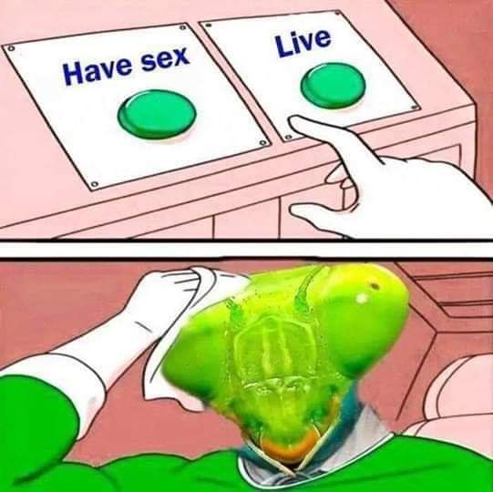 BarScienza's tweet photo. Hard Choice
Credit: Science Memes
#NaturalThursday
#ThursdayMotivation
#biology
#Mantis
#Mantide
#Biologia
#Scienza
#Divulgazione
#Science
#Memes
#ScienceMemes
#Choice https://t.co/w61Hqi8XCT