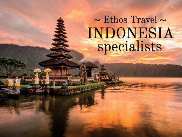 Ethos Travel tweet media