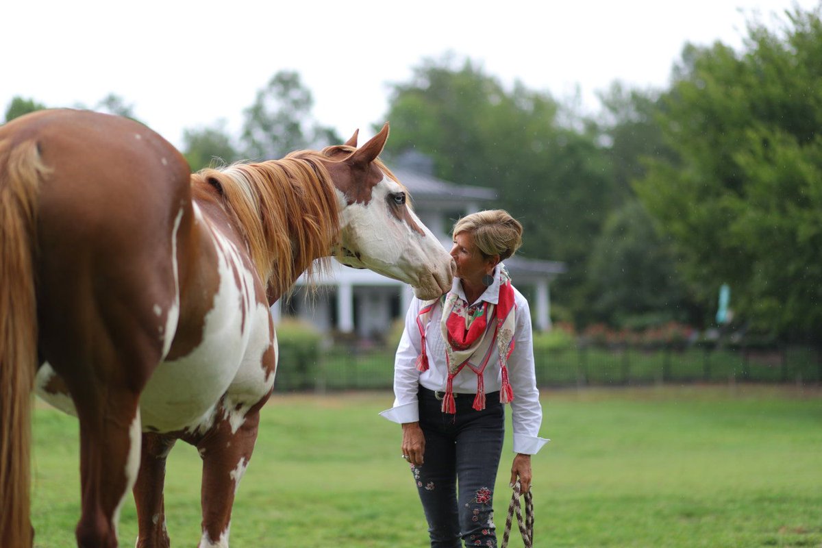 horsesconnect's tweet photo. “Horses help us to shed the layers of pain we accumulate and if you are willing to travel deep into yourself, horses are my choice of vehicles. Horses don’t lie, nor do they disappoint.” https://t.co/aWqwGhLngb https://t.co/DjPA9Y9yB7