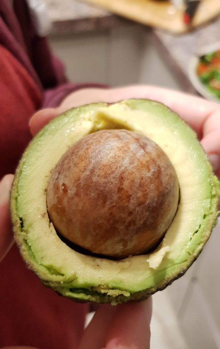 salihacooks's tweet photo. Super annoyed at this seed to flesh ratio! #totallyrobbed #avocadofraud ๐ก ๐ฅ https://t.co/al7QxEPtVD