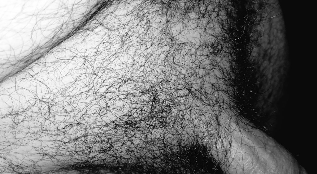 BearthoTuxxx's tweet photo. se salió a refrescar un rato #peludos https://t.co/vvtNOPT9BR