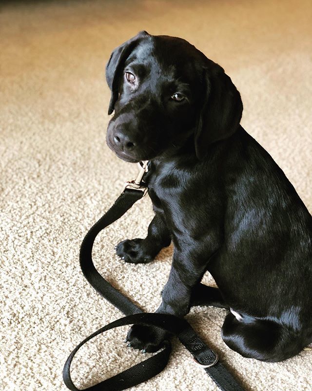 Henster113's tweet photo. 🖤🖤
Kodak 🖤🖤 https://t.co/28QE0SBSiA https://t.co/13ObbUDHdp