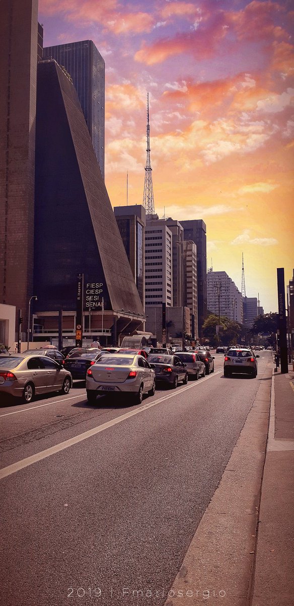 MrioSantos11's tweet photo. Série Movimentos Urbanos:Paulista. #photography #photooftheday #FotoDelDia #fotododiabr #streetphoto #clicksp #saopaulocity #PictureOfTheDay #registrandomomentos https://t.co/C3YKLMNuJz