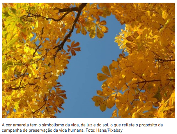Eco4u's tweet photo. Setembro Amarelo: O que não dizer para uma pessoa que pensa em suicídio?  https://t.co/EmsUIyWIFQ #SetembroAmarelo https://t.co/Gle8x6a606