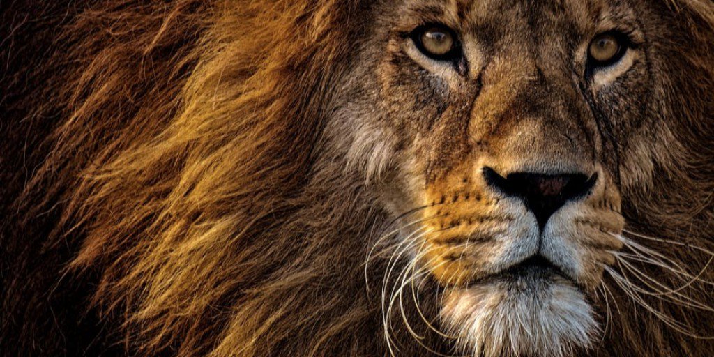 SE Society tweet media