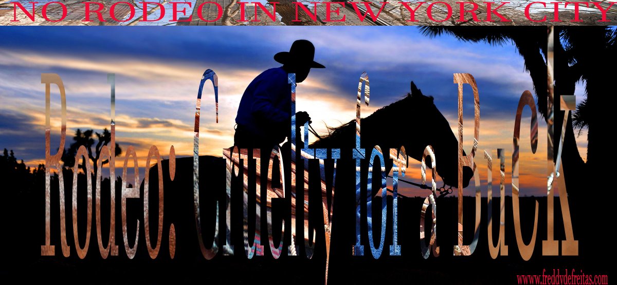 SUPERVETS (@supervetsaward) on Twitter photo 