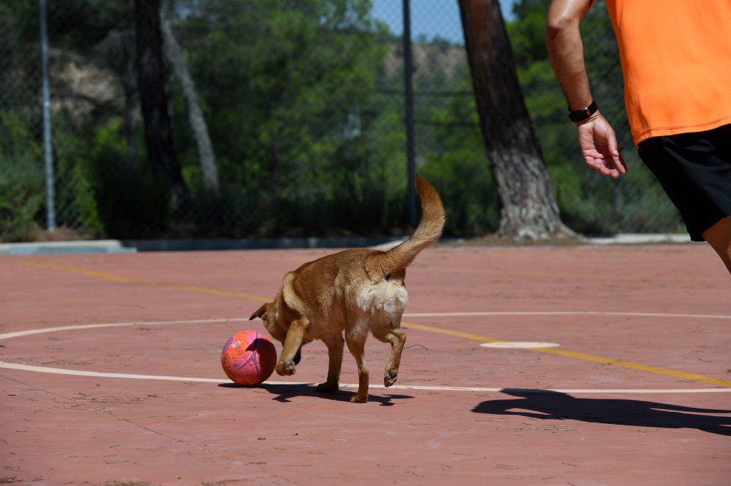 No te dejas al pequeño de la casa sin disfrutar de vuestro fin de semana.

En nuestras instalaciones os recibimos a todos con los brazos abiertos.

☎ 967470036