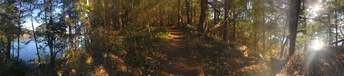 SSadventureco's tweet image. Check out this weeks blog:
saltspringadventures.com/blog/news/choc…

#SSAdventureCo #ComeAdventureWithUs