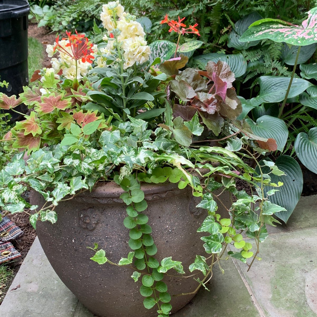 cafunger's tweet photo. Working on fall planters today #fallcontainers #falldecor #fallcontainerideas #fallplanters https://t.co/THROC8KFcb
