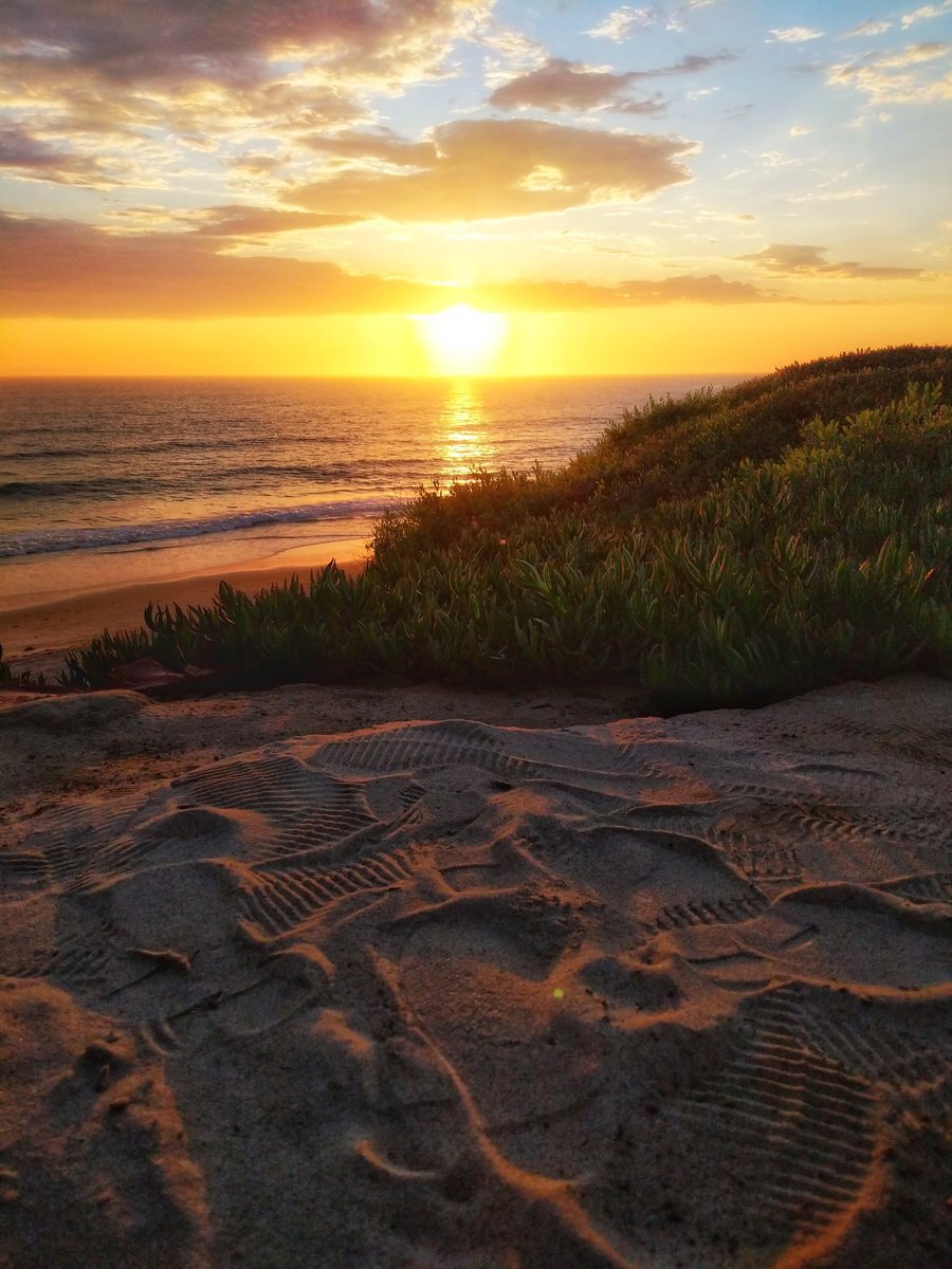 EK Health tweet media