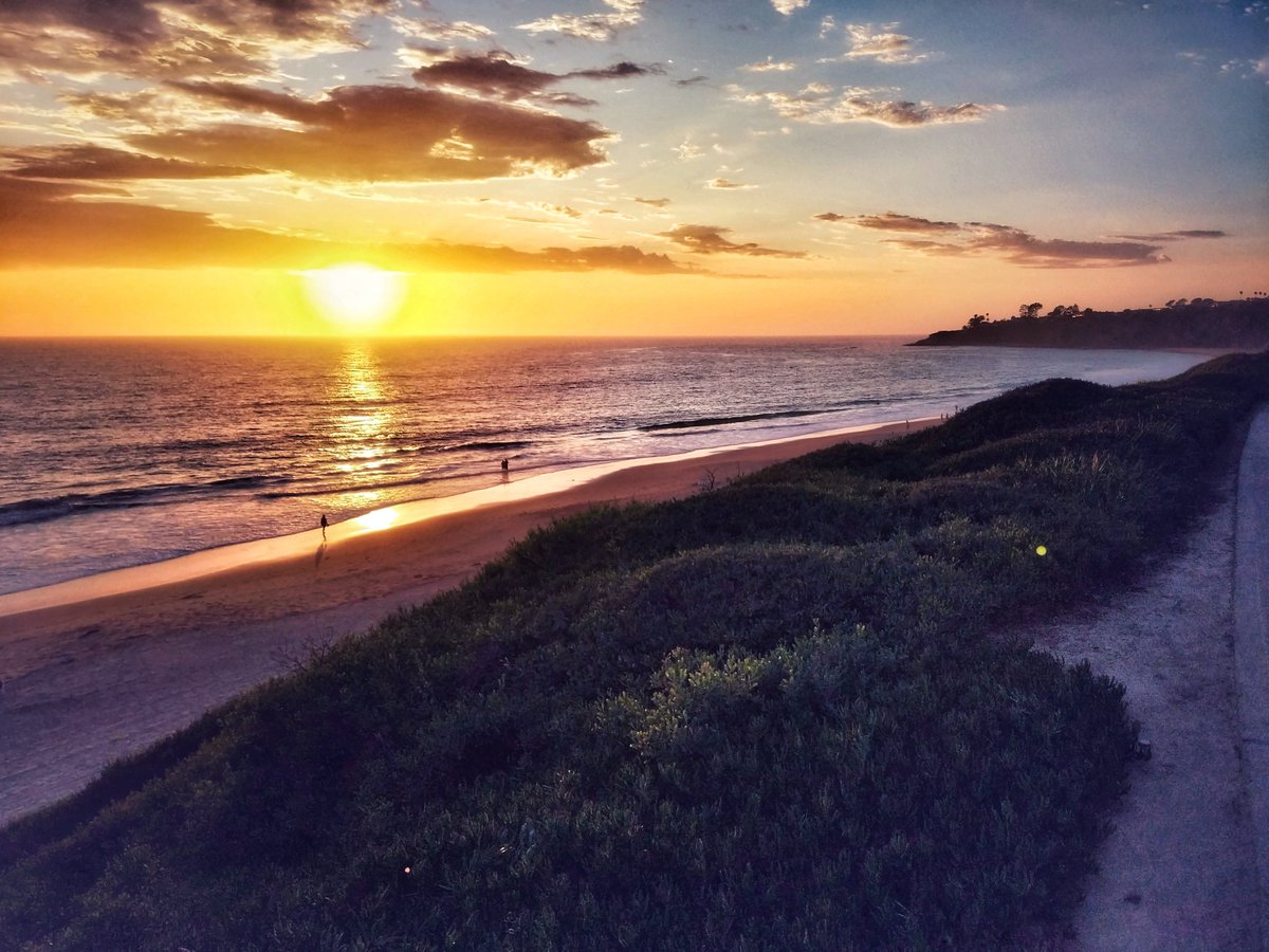 EK Health tweet media