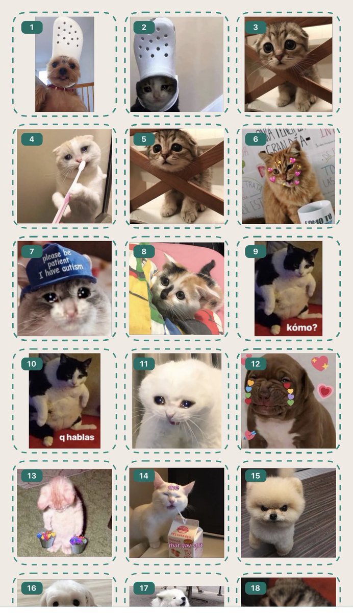 Currículum directorio Deportes Sergio on Twitter: "Ya he terminado el primer pack de stickers de gatitos  para whatsapp 🐱 En el siguiente tweet os cuento las instrucciones para  descargarlo. https://t.co/Ojsl6NRh0L" / Twitter